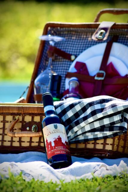 Montepulciano: Winery Tour, Tasting, and Vineyard Picnic - The 30-minute winery walkthrough: grapes, cellar, and vineyard context