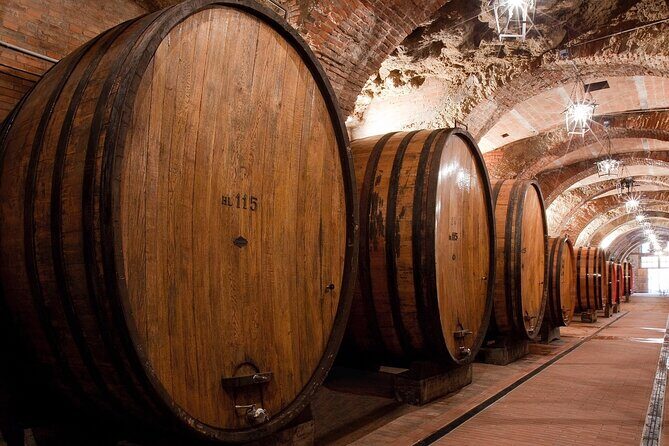 Montepulciano: Winery Tour & Tasting Experience - Quick Practical Tips for a Smooth Montepulciano Cave Visit