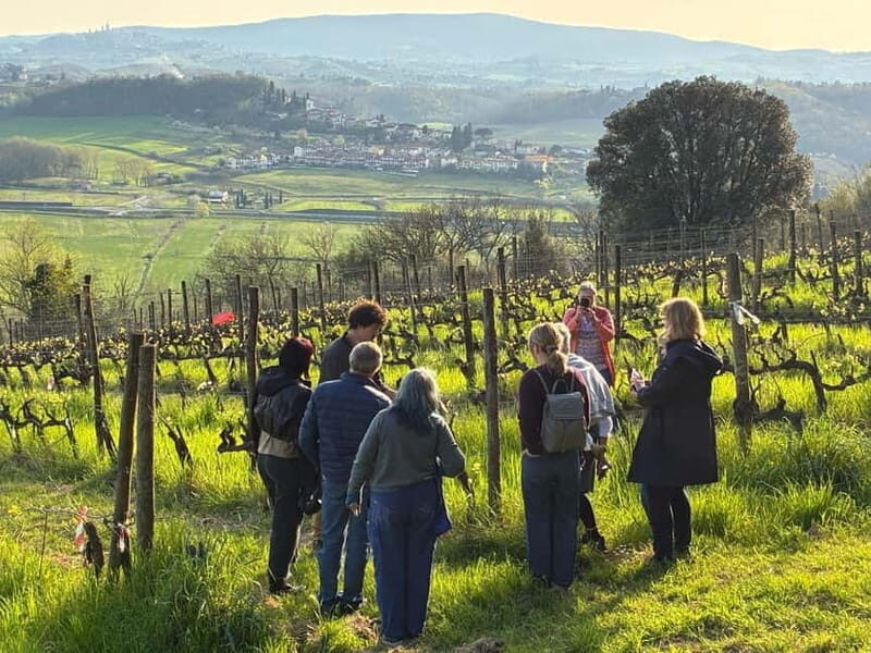 Organic Wine and Food Tasting at Historic Fattoria Majnoni - Vico d’Elsa Starts You Off in the Real Chianti (Not a Strip Mall)