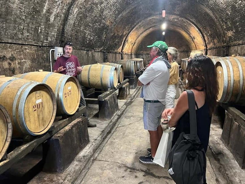 Organic Wine and Food Tasting at Historic Fattoria Majnoni - Vineyard Walk and Old Threshers: Where Regenerative Farming Becomes Tangible