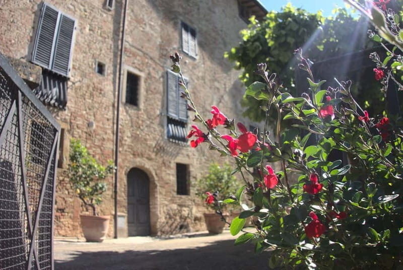 Organic Wine and Food Tasting at Historic Fattoria Majnoni - Production Visit: Winery Stops That Connect Cellars to Flavor