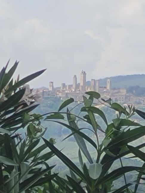 Organic Wine and Food Tasting at Historic Fattoria Majnoni - Panoramic Terrace Over San Gimignano: The View That Makes the Wine Make Sense