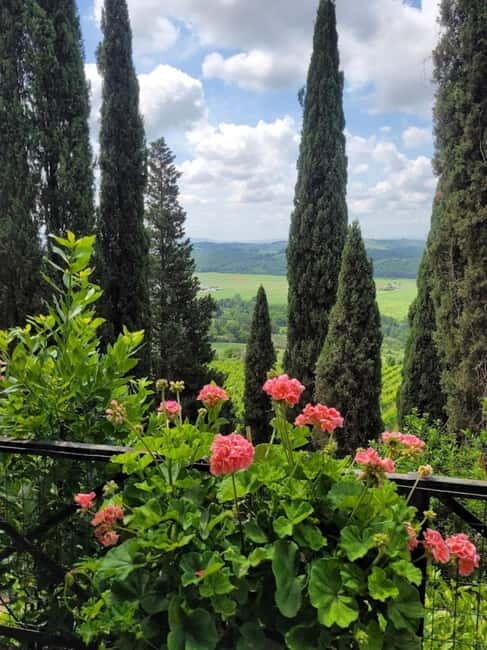 Organic Wine and Food Tasting at Historic Fattoria Majnoni - Price and Value: Is $73.64 a Good Deal for Chianti?