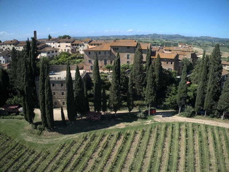 Organic Wine and Food Tasting at Historic Fattoria Majnoni - The Opening Brief: History, Farming Logic, and What Natural Winemaking Really Means
