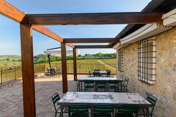 Organic Wine Tour&Tasting overlooking Chianti Classico Vineyards - Casa Emma: Organic Chianti Classico with real production behind it
