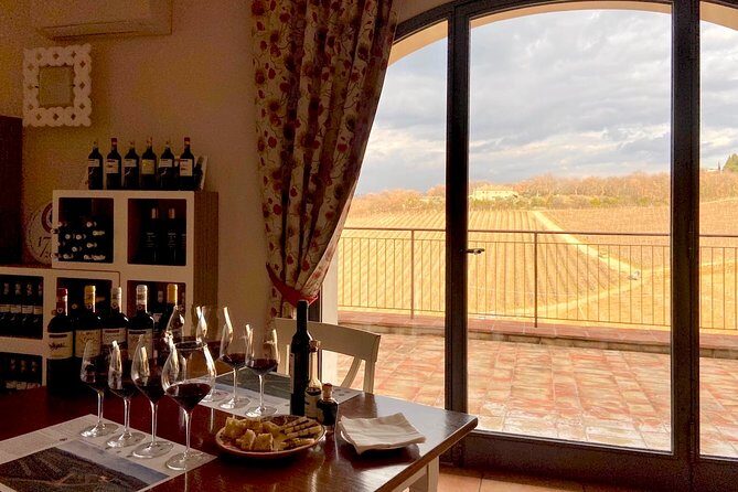Organic Wine Tour&Tasting overlooking Chianti Classico Vineyards - What you’ll actually eat and taste (bread, pecorino, olive oil, balsamic)