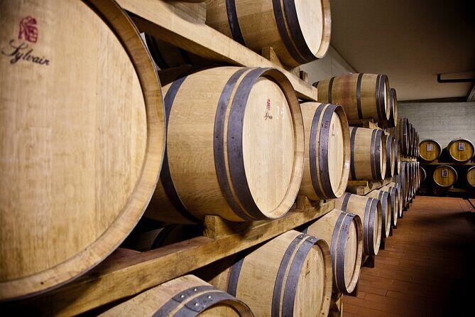 Organic Wine Tour&Tasting overlooking Chianti Classico Vineyards - Timing and price: value in 1 hour 15 minutes