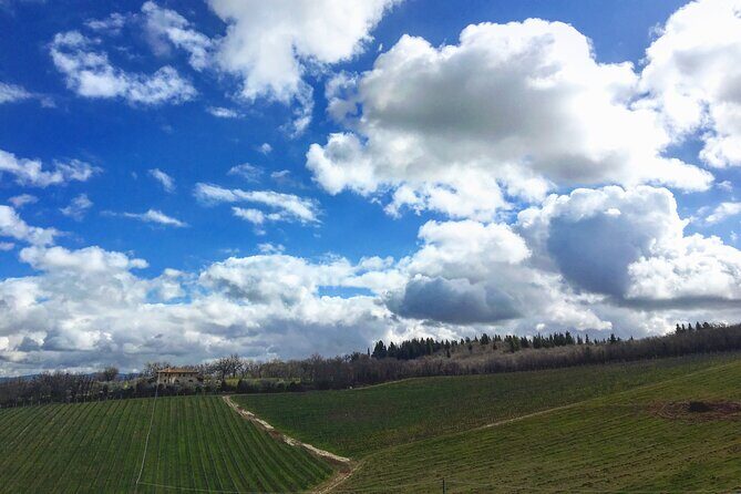 Organic Wine Tour&Tasting overlooking Chianti Classico Vineyards - Where to meet: easy start point to plan around