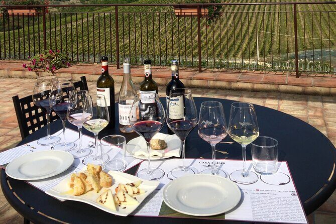 Organic Wine Tour&Tasting overlooking Chianti Classico Vineyards - The cellar tour: from grape choice to barrel aging and bottling