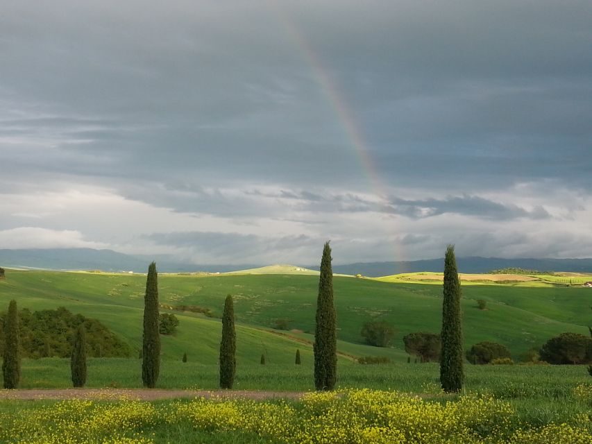 Passeggiando nell'uliveto: come nasce l'olio extrav d'oliva? - Entering the olive grove: what makes this tour worth your time