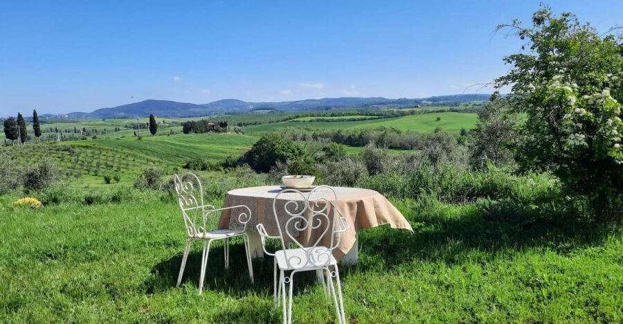 Passeggiando nell'uliveto: come nasce l'olio extrav d'oliva? - Meet Kiara and Luka: how the guide turns facts into something you’ll remember