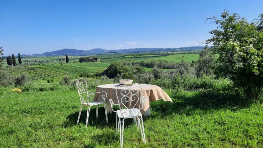 Passeggiando nell'uliveto: come nasce l'olio extrav d'oliva? - Invidia oil tasting with bread and a UNESCO-class view