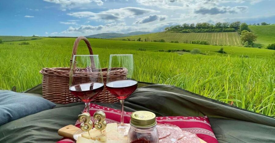 Picnic in the organic vineyards of Brunello - A Private Brunello Picnic That Centers on Food and Views