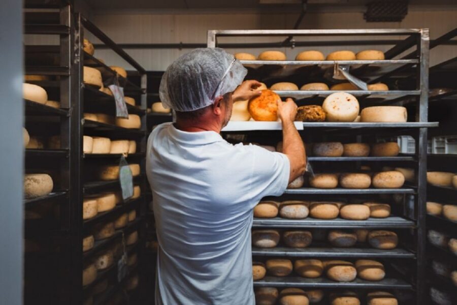 Pienza: Dairy Farm Tour with Pecorino Cheese Tasting - How the Cheesemaking Process Gets Explained (and Why You’ll Care)