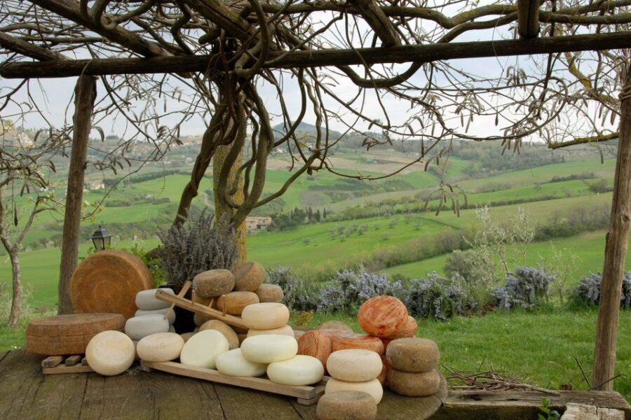 Pienza: Dairy Farm Tour with Pecorino Cheese Tasting - The Tasting Experience: How to Make It Feel Like a Masterclass