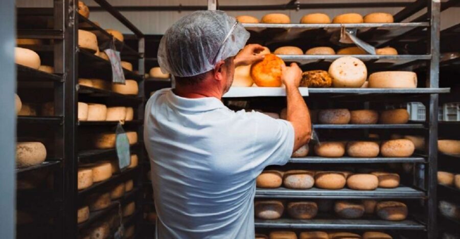 Pienza: Dairy Farm Tour with Pecorino Cheese Tasting - Why Pienza Pecorino Tastes Different From the First Bite