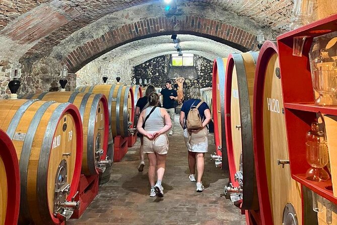 Pisa, Vinci, Tuscany, Wine tasting all in one day! - Small Group - Who This Tour Fits Best (And Who Might Want to Skip It)