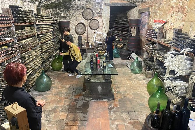 Pisa, Vinci, Tuscany, Wine tasting all in one day! - Small Group - Should You Book This One-Day Pisa and Wine Tour?