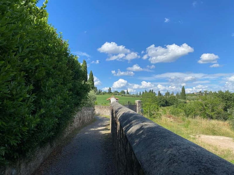Premium Chianti E-Bike Tour, Food Wine Tasting + Photo shoot - From Florence edges into olive groves and vineyards