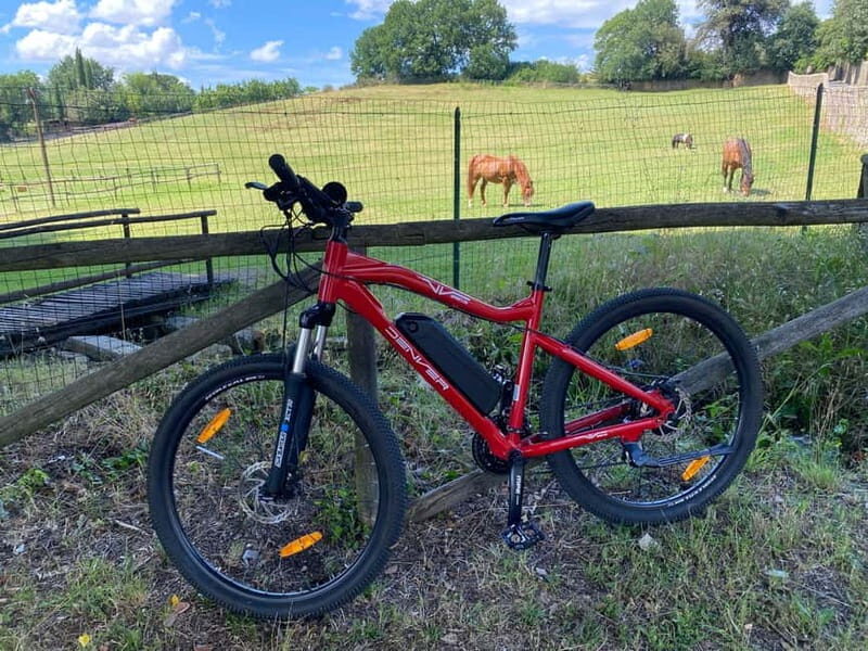 Premium Chianti E-Bike Tour, Food Wine Tasting + Photo shoot - Riding reality check: distance, ease, and how to prep