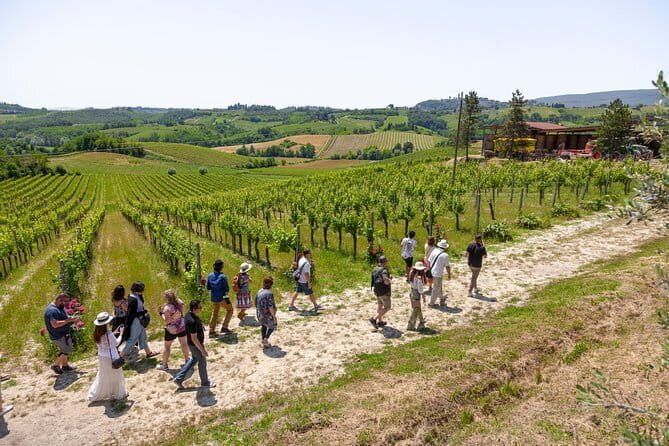 Private Biodynamic Wines with lunch in Chianti Classico - Transportation and timing: what your day feels like