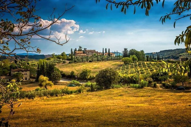 Private Carmignano Tour: The First Cabernet Sauvignon in Tuscany - Key Highlights You Should Know