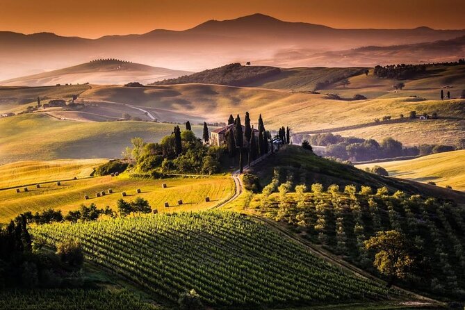 Private Chianti and SuperTuscan Tour 2 wineries with Light Lunch from Livorno - Your Guide and the Private Minivan: The Real Luxury