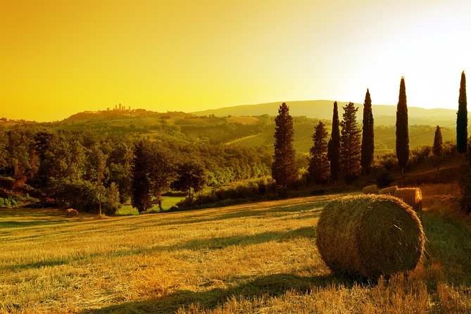 Private Chianti and SuperTuscan Tour 2 wineries with Light Lunch from Livorno - Who This Tour Fits Best (And Who Might Want a Plan B)