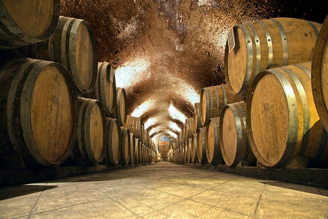 Private Chianti and SuperTuscan Tour 2 wineries with Light Lunch from Livorno - Should You Book This Livorno to Chianti Private Wine Tour?