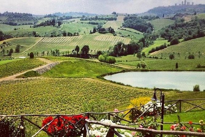 Private Chianti Classico Tour with wine and food tasting in a Historic Estate - Key things to know before you go