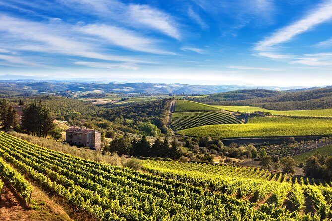 Private Chianti Classico Tour with wine and food tasting in a Historic Estate - Why this Chianti Classico tour makes sense from Florence