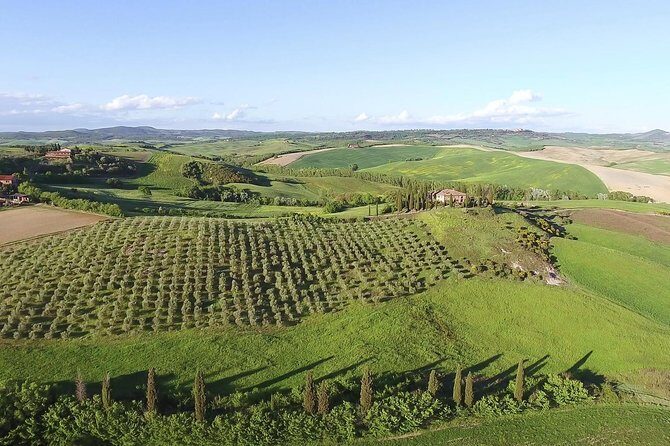 Private Chianti Classico Tour with wine and food tasting in a Historic Estate - Food, views, and the “small moment” extras you might catch