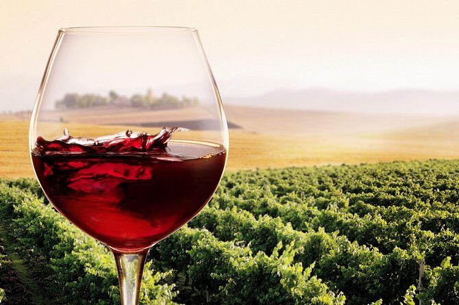 Private Chianti Classico Tour with wine and food tasting in a Historic Estate - Logistics that affect your comfort (not just your schedule)