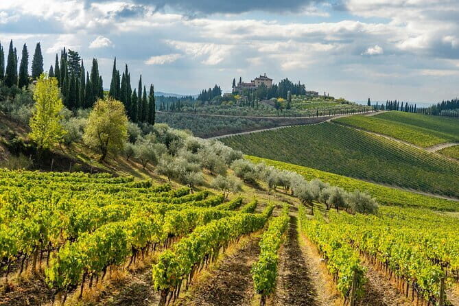 Private Chianti Safari: Off Road Tuscany Wine Tour with Lunch from Florence - Price and comfort: what you’re paying for at $590.34 per person