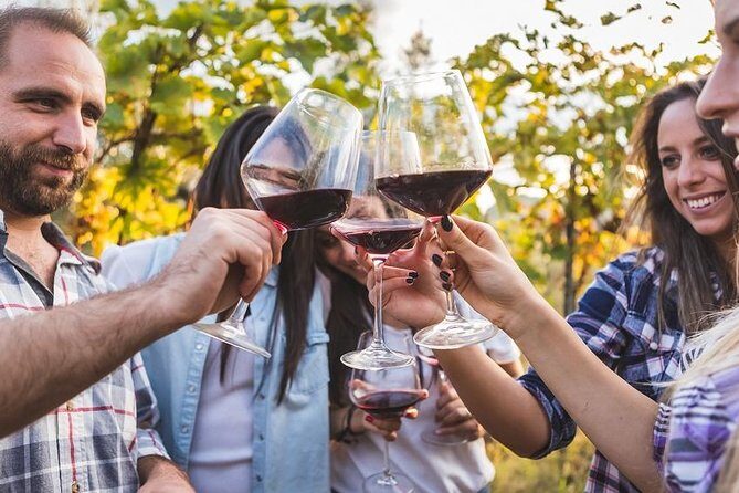 Private Chianti Tuscany Wine Tasting Tour from Florence - Why This Private Chianti Tour From Florence Feels Easier