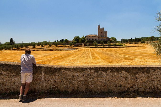 Private Chianti Tuscany Wine Tasting Tour from Florence - Barberino Tavarnelle: Winery Cellar, Vineyards, and Lunch With Tasting