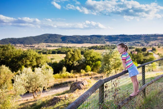 Private Chianti Tuscany Wine Tasting Tour from Florence - Your 10:00 am Start and the Luxury Minivan Ride Out of Florence
