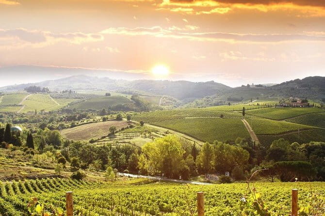Private Chianti wine tour leaving from Florence - Morning Start: Montefioralle and Greve in Chianti