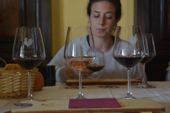 Private Chianti with Lunch Half Day from Florence - Panzano in Chianti: Winery Roots, Old Cellars, and a View Tasting
