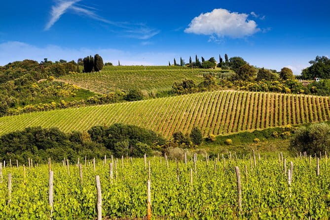 Private Classic Wine Tour in Chianti from Florence - Key Things That Make This Chianti Tour Work Well