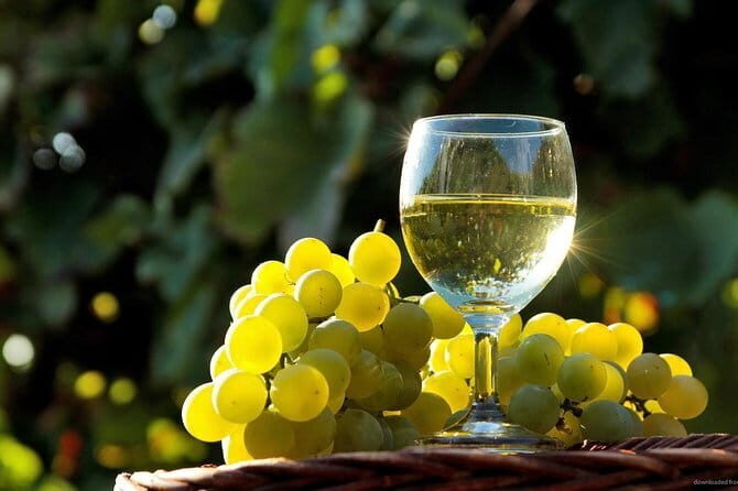 Private Classic Wine Tour in Chianti from Florence - A Private Tour That Actually Keeps the Day Comfortable