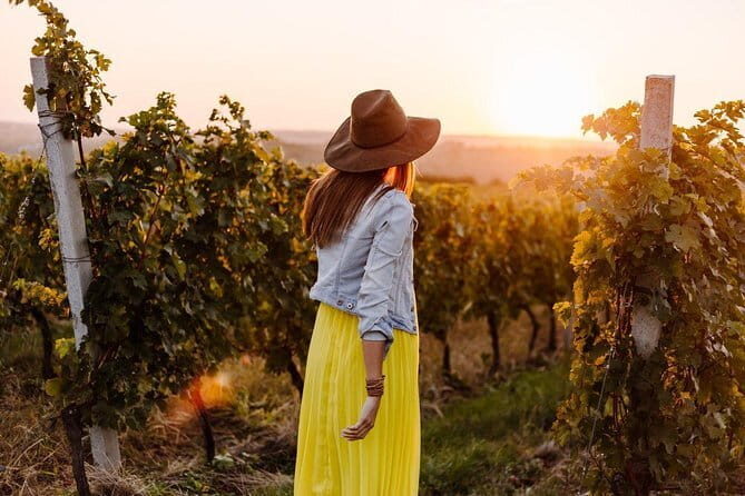 Private Classic Wine Tour in Chianti from Florence - The Main Area: Castellina In Chianti and the Classico Focus