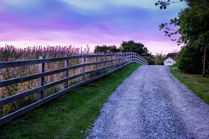 Private Day Tour from Florence to Pisa, Chianti and San Gimignano - Piazzale Michelangelo at Sunset: Short Stop, Big Payoff