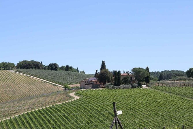 Private daytrip to Siena & Chianti wine country, with wine tasting from Florence - Greve in Chianti: Piazza Matteotti, wine shopping, and time to poke around