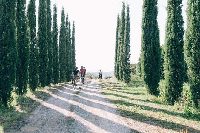 Private Ebike Tour in Chianti - Stop 4: wrap-up back at the meeting point