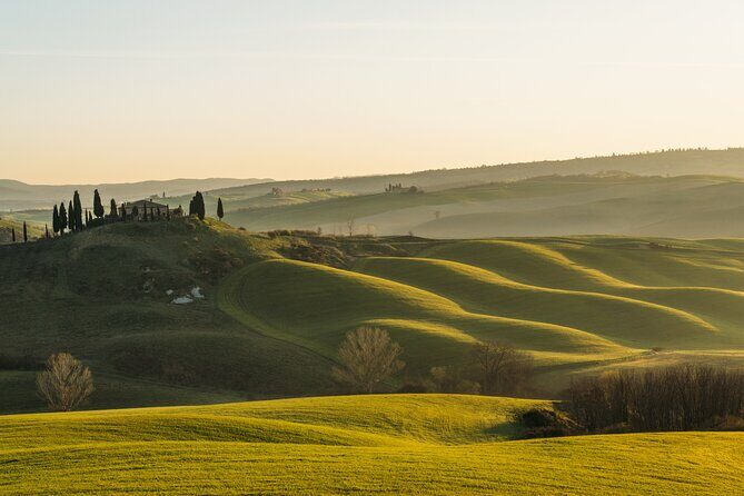Private Experience Tuscany Tour from Rome - Chianti by Road: Using Strada Statale 222 for the Best Views