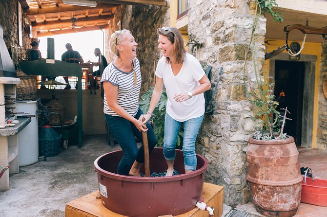 Private Grape stomping at Chianti Farmhouse - Key highlights worth your time