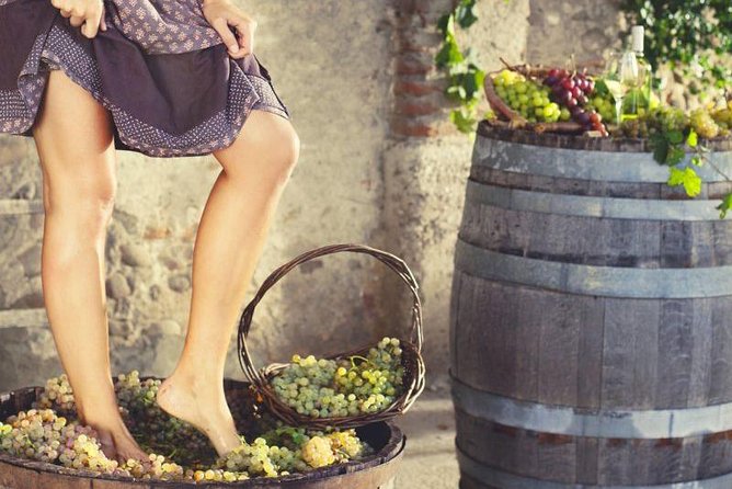 Private Grape stomping at Chianti Farmhouse - A Private Chianti Farm Day: What Happens in 4 Hours
