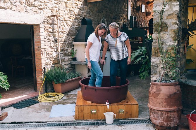 Private Grape stomping at Chianti Farmhouse - Tastings: 4 Wines, Grappa, Olive Oil, and Honey (How to Think About It)