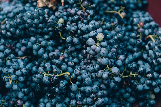 Private Grape stomping at Chianti Farmhouse - Price and Value: Is It Worth $384.11 per Person?